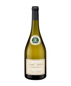 Chardonnay Grand Ardèche - Louis Latour - 2020